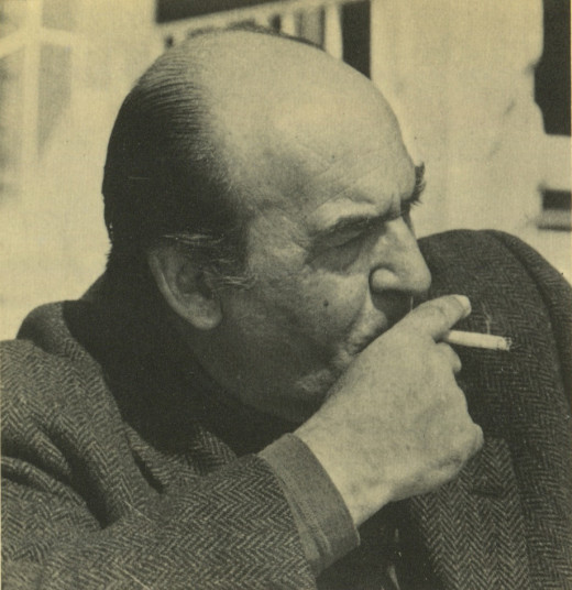 Mario Brelich