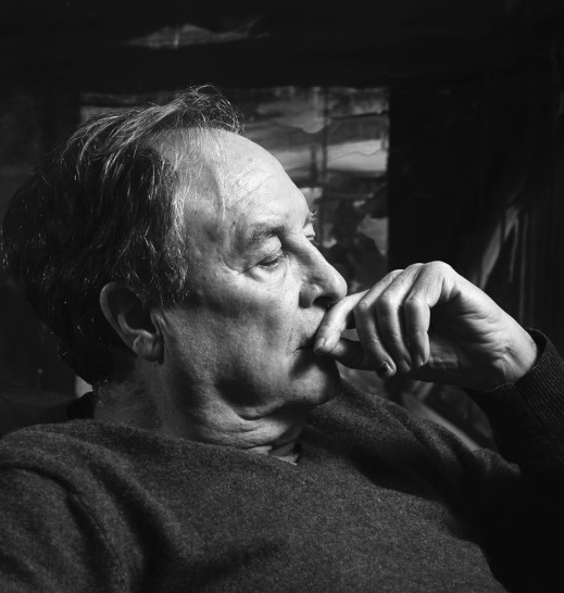Vicente Verdú