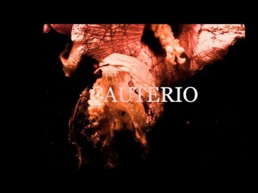 Aire y agua: Cauterio, de Lucía Lijtmaer