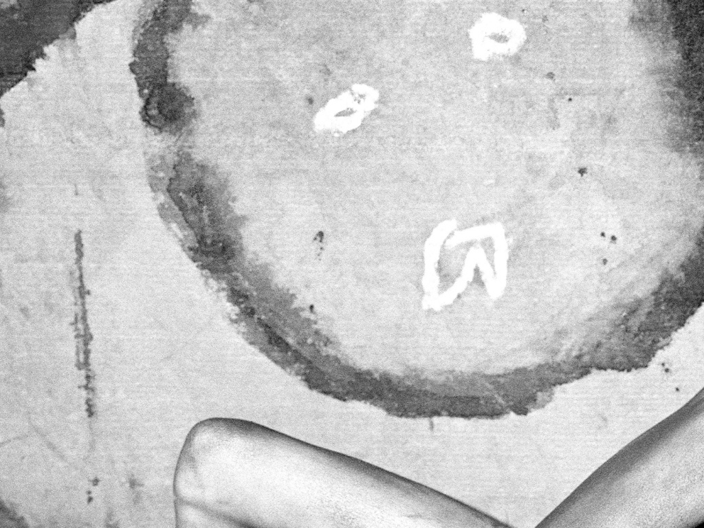 Cómo desaparecer completamente, de Mariana Enriquez