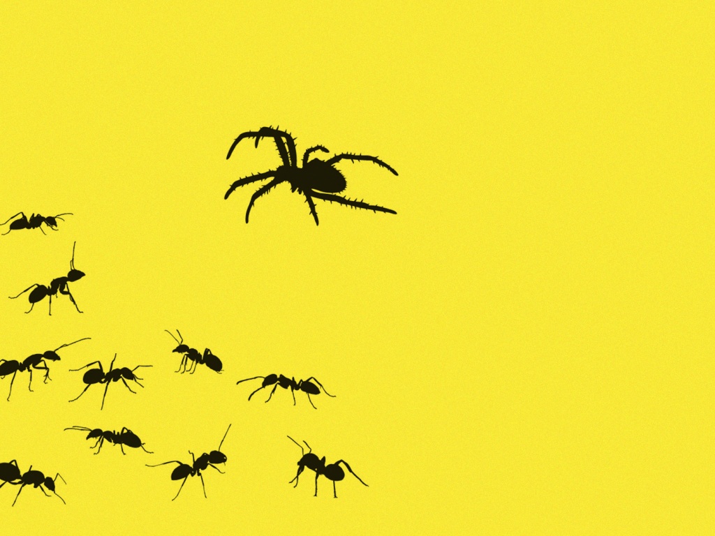 Fronteras de clase, de Lea Ypi