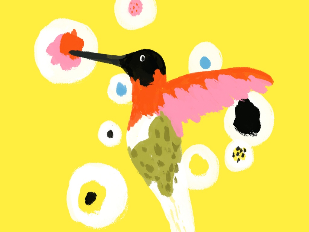 El colibrí, de Sandro Veronesi