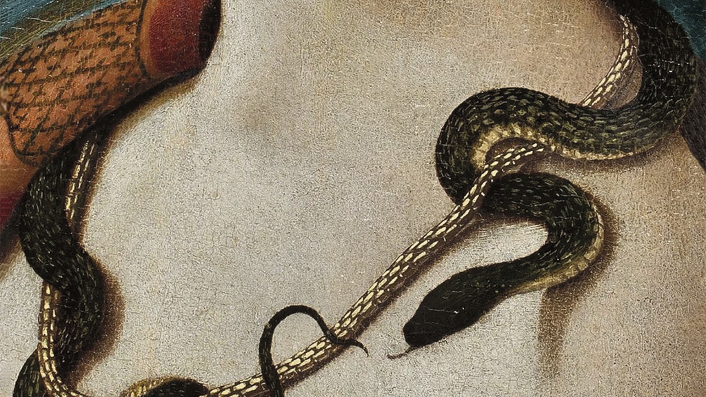 El año de la serpiente, de Camila Fabbri