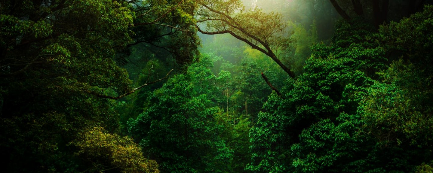 Un lugar llamado Tierra