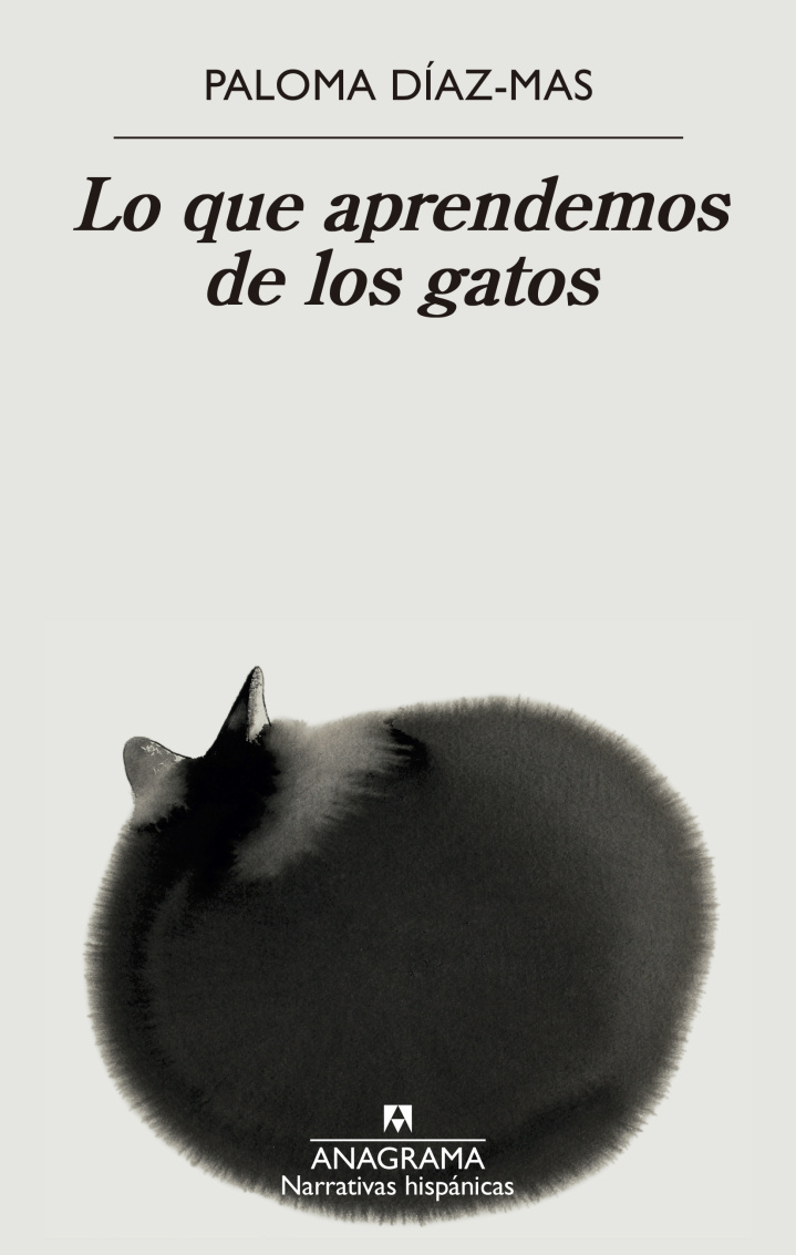 What We Learn From Cats