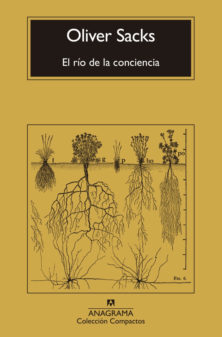 El río de la conciencia