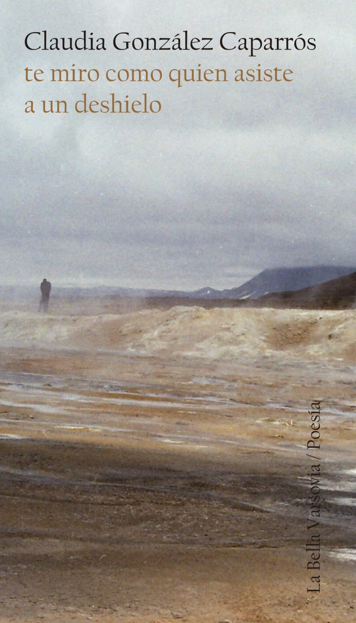 te miro como quien asiste a un deshielo