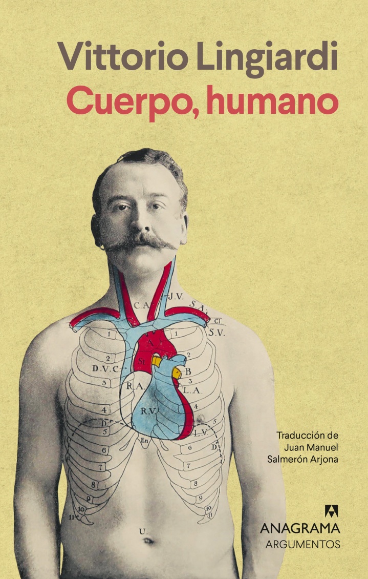 Cuerpo, humano