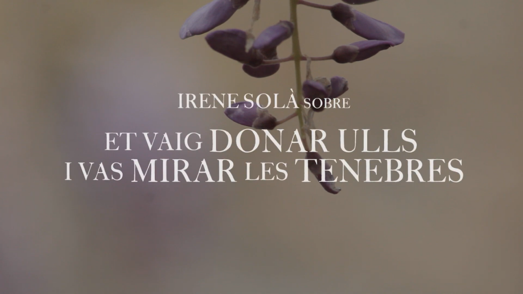 Irene Solà ens parla de 'Et vaig donar ulls i vas mirar les tenebres'